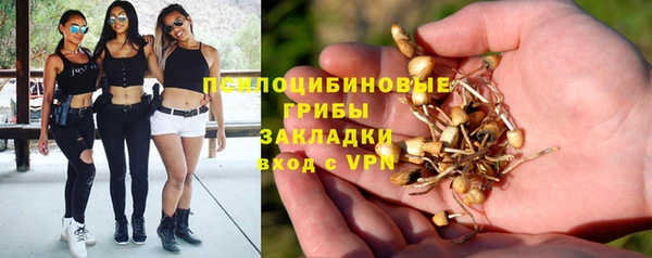 экстази Медвежьегорск