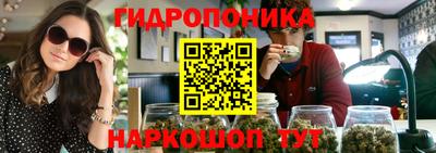 шишки Балашиха