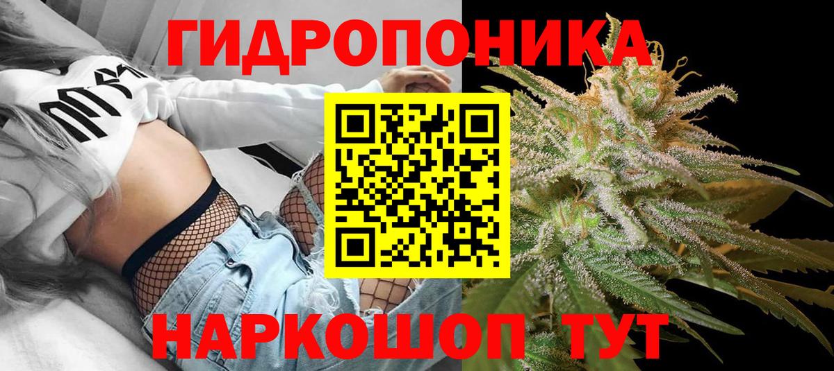 Шишки марихуана план  Вход с VPN  Бошки марихуана Ganja  Воткинск  Конопля White Widow 